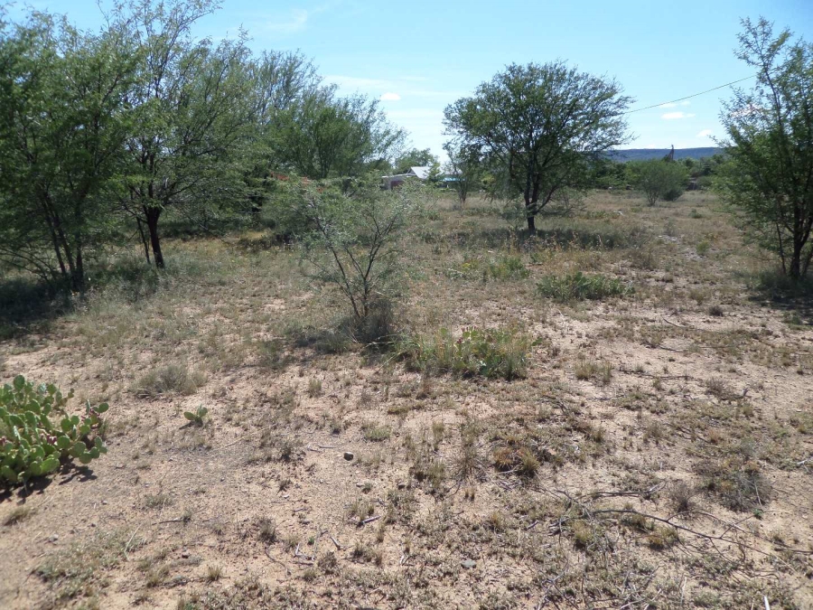 0 Bedroom Property for Sale in Oviston Eastern Cape